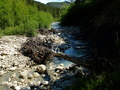 Abb. 80: Im Tal zeigt sich der Esteron als romantischer
        Wildfluss.